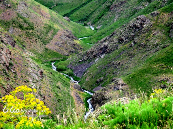 طبیعت زیبای ارتفاعات بزقوش شهرستان میانه +تصاویر