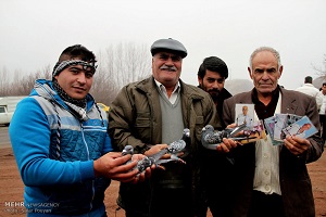 آزادسازی پرندگان در میانه, گزارش تصویری آزادسازی پرندگان در میانه ,سالار پویان ,خبرگزاری مهر