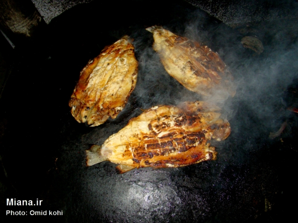 ماهی پزی سنتی در میانه