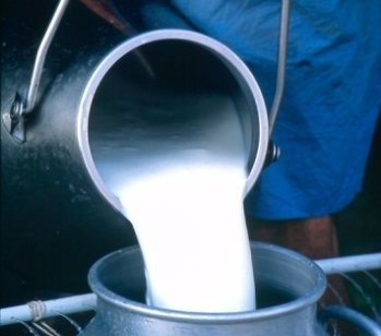 تولید شیر شهرستان میانه , واحدهای لبنی از نبود حمایت تا تدبیر خشک و خالی , شیر میانه , کارخانه لبنیات میانه , نیمه تعطیل , کارخانجات تولید فراورده های لبنی میانه , فراورده های لبنی , میانه ,میانا ,