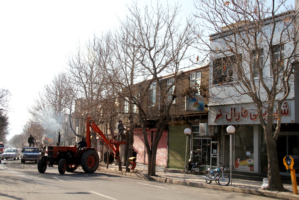 عملیات هرس زمستانه درختان در معابر شهر میانه