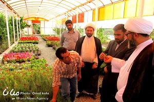 بازدید امام جمعه میانه از پروش گل و گیاه نهالستان