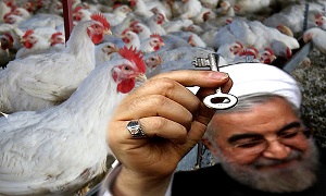 مشکلات تولید کنندگان مرغ دولت روحانی
