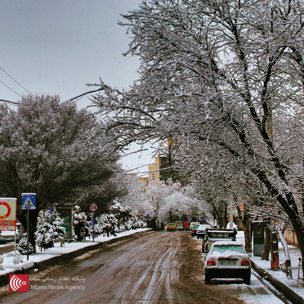 بارش برف شهر میانه را سفید پوش کرد+تصاویر