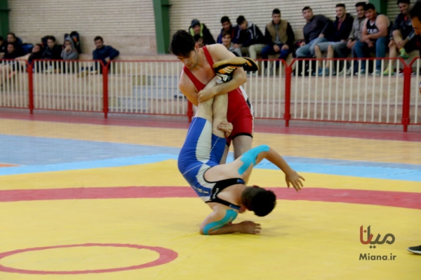 مسابقات کشتی فرنگی و آزاد دانشجویان آذربایجان شرقی در میانه برگزار شد